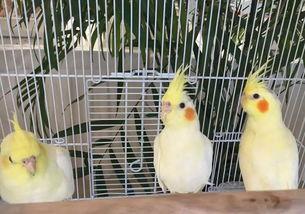 郑州公司吃瓜娱乐  第2张