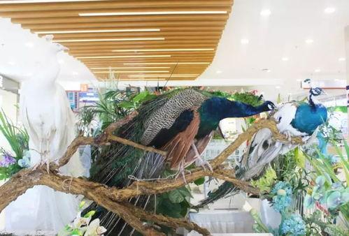 郑州公司吃瓜娱乐  第3张