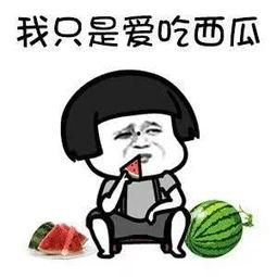 吃瓜娱乐酱文化,揭秘吃瓜娱乐酱文化的魅力与影响  第3张