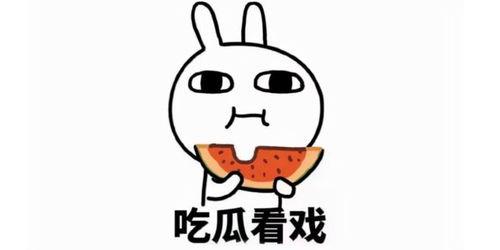 搞笑娱乐吃瓜君小说,笑料百出，瓜田奇遇记  第3张